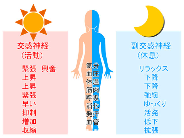 松戸市 整体,ふくます整体院,妊活,頭痛,ダイエット,起立性調節障害